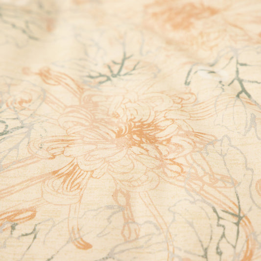 Chrysanthemum Ivory