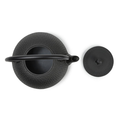 Cast Iron Teapot Tetsubin Tea Kettle Nambu Tekki
