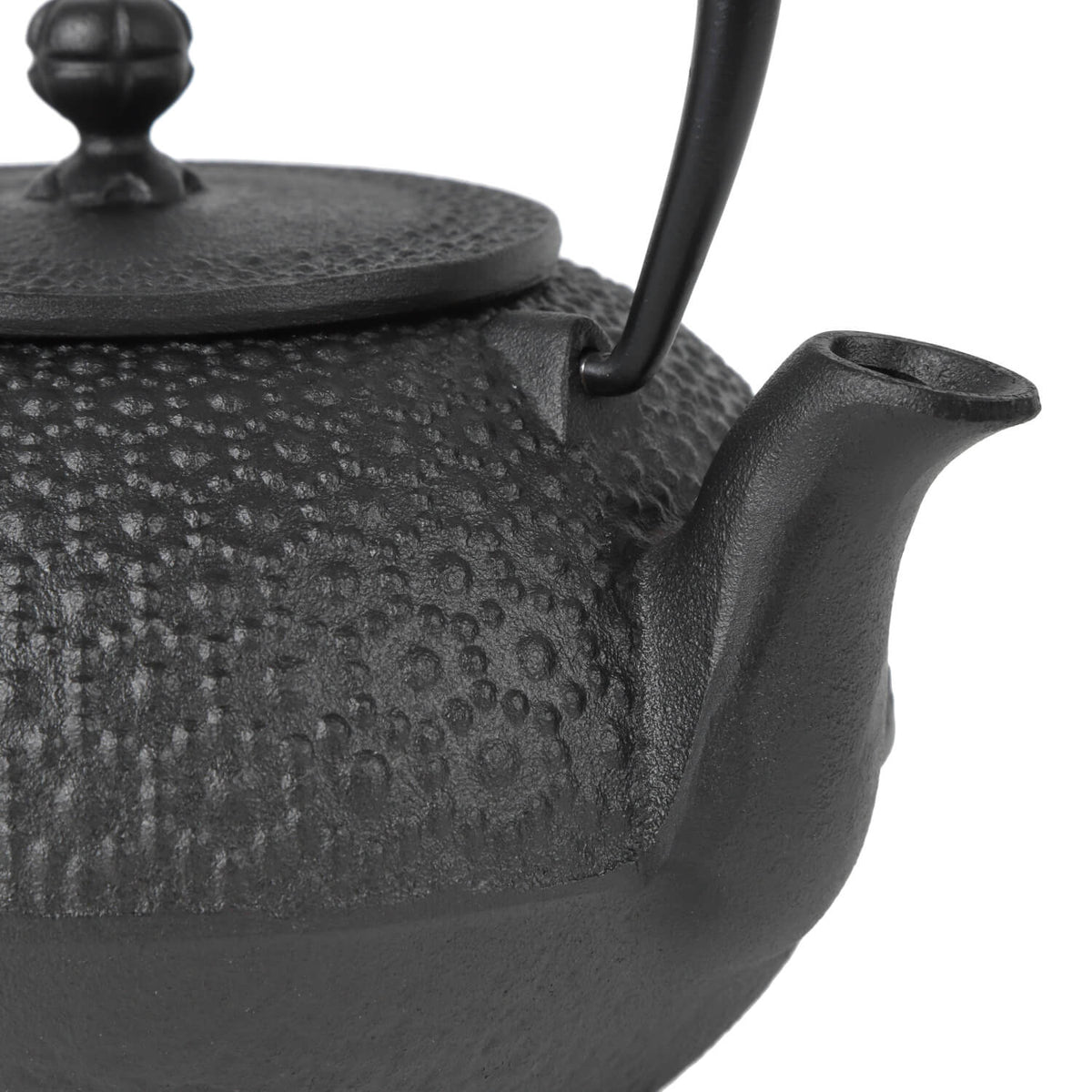 Cast Iron Teapot Tetsubin Tea Kettle Nambu Tekki