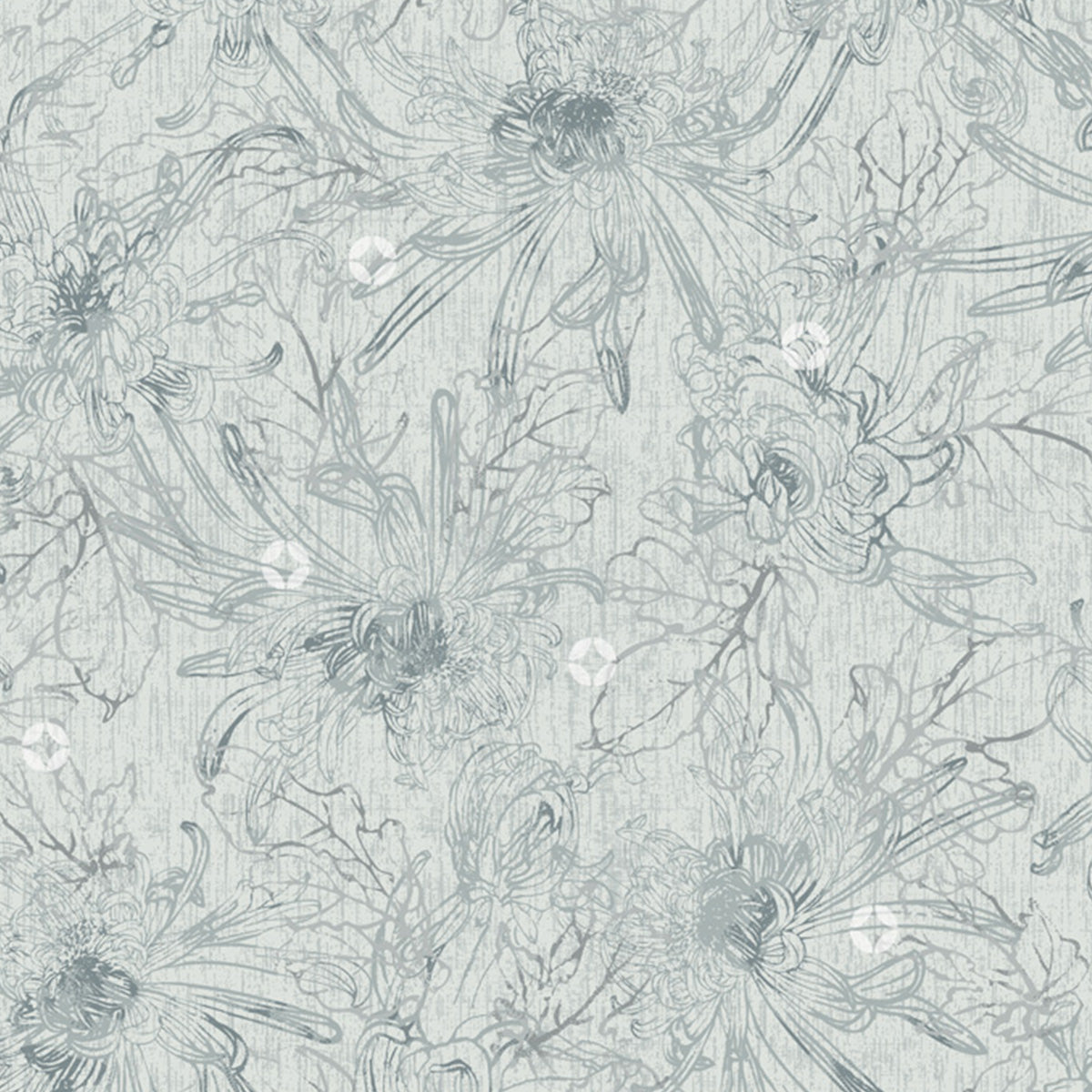 Chrysanthemum Gray