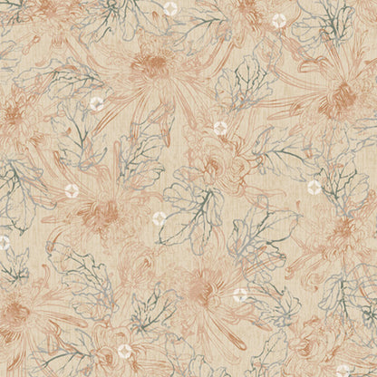 Chrysanthemum Ivory