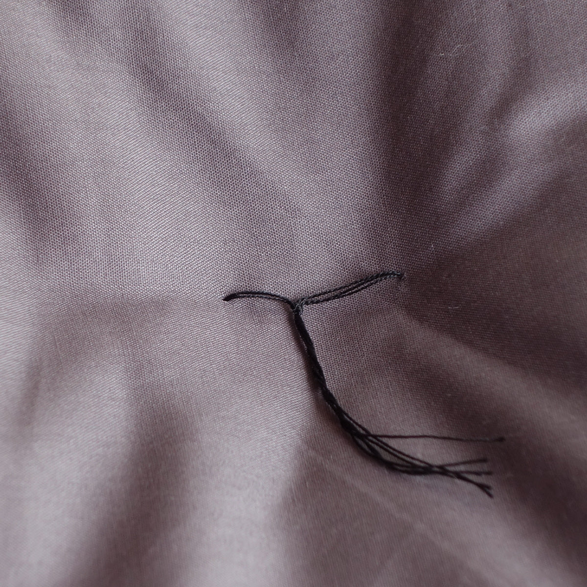 Amagumo Gray