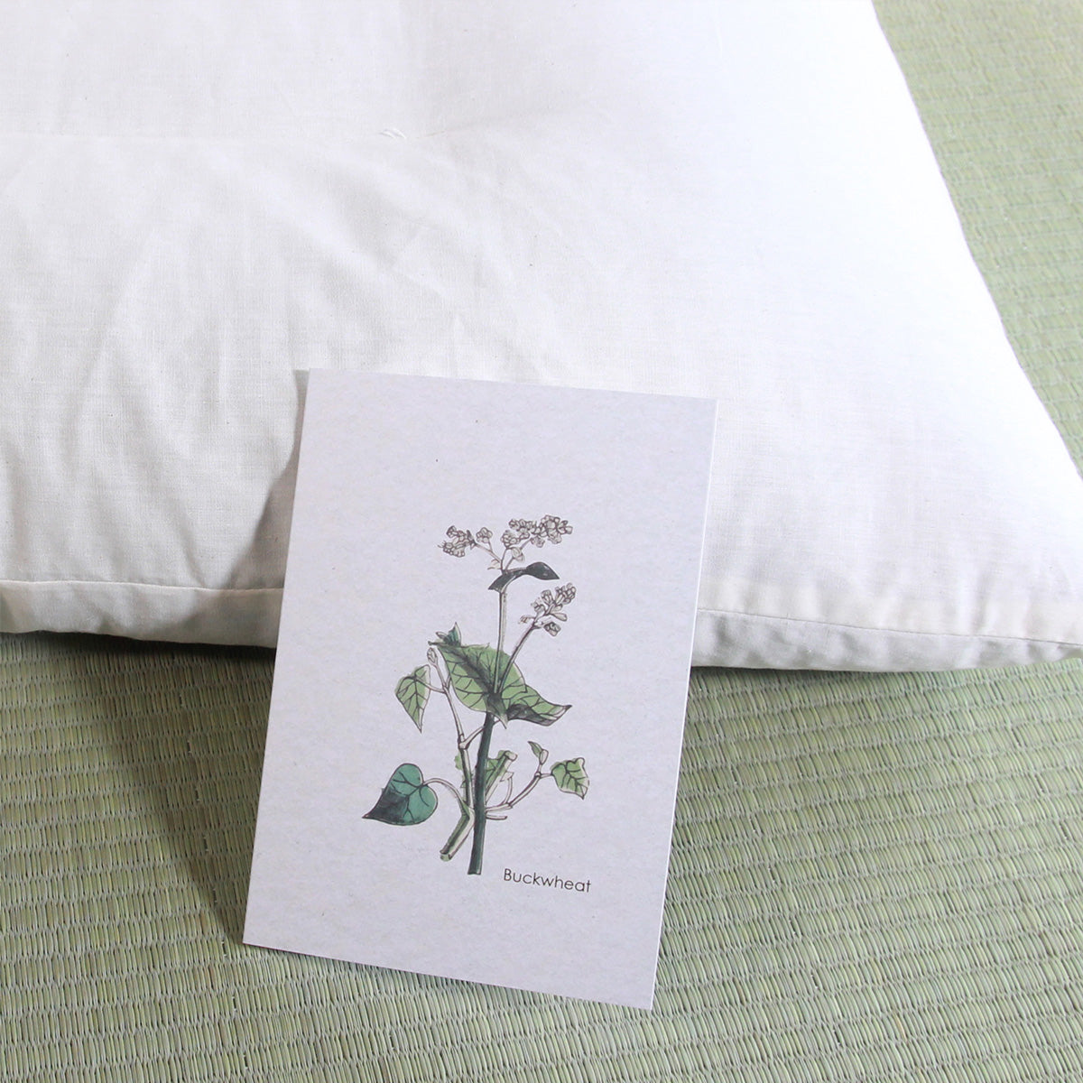 Japanese Buckwheat Pillow, Soba Hulls Pillow, Adjustable Height, Organic Fabric NC