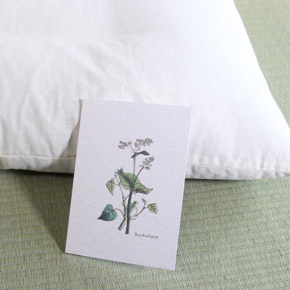 Large 43 × 63 cm (16.9 × 24.8 in) - 2.5 kg (5.5 lb)