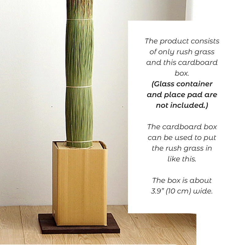 Tatami Grass - Deodorizing Room Decoration Tatamino Moto