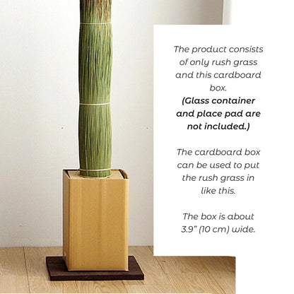 Tatami Grass - Deodorizing Room Decoration Tatamino Moto