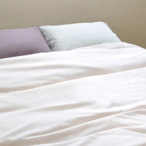 Japanese Kake Futon (Quilt) Cover - Iwamoto Senni Super Soft  Wazarashi Single Gauze "Kyo Hitoe"