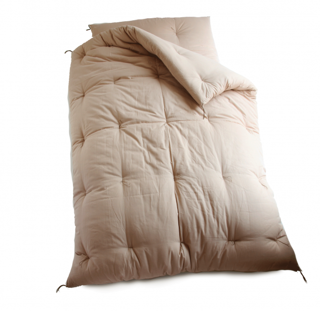 japanese kakefuton
