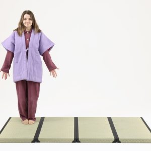 Smart Tatami Lounge